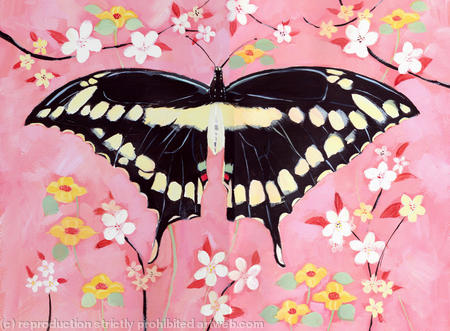 Oriental Butterfly