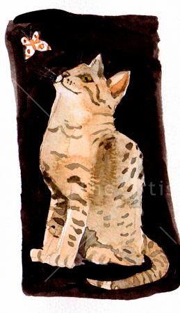 Bengal kitten
