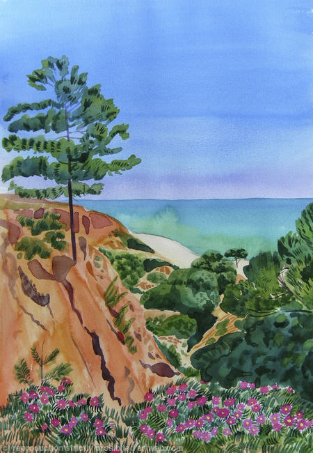 Pine