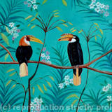 Indian hornbills - Oil on paper