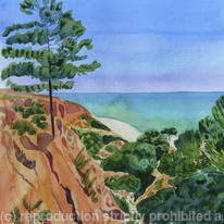 Pine trees, Algarve