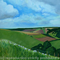 Summer Fields on the South Downs