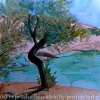 Olive tree in Greece