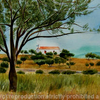 Olive tree in Greece