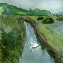 Summer river with swan