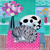 Cats in spring