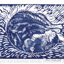 Reclining cat