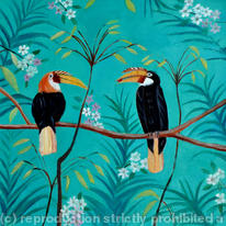 Indian hornbills