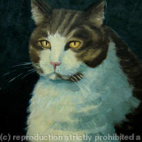 Tabby