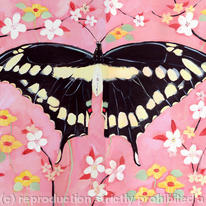 Oriental Butterfly