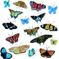 Butterflies