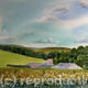 Sussex Farm in summer