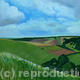 Summer Fields on the…