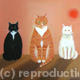 Alfie and the others
