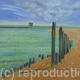 Groynes