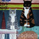 Funky Cats