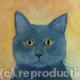 Russian Blue