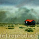 The Red Hut