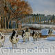 Sheep in a snowy field
