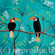 Indian hornbills