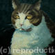 Tabby