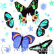 Blue and green butterflies