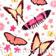 Butterflies in warm…