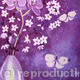 Orchids and blossom