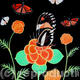 Oriental flowers with…