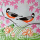 Oriental birds