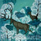Deer Forest