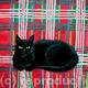 Tilly on tartan