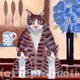 Cats and Cornflowers