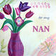 To my Nan