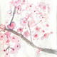Pink blossom