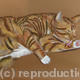 Teddy washing | | 50 x 40cm | pastel Teddy washing