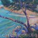 Pine Tree in Spetses,… | | 60 x 40cm | acrylic on stretched canvas Pine Tree in Spetses,…