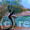 Olive tree in Greece