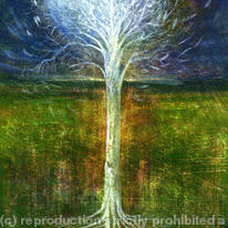 Wish Tree