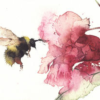 Bee with Balsam