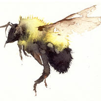 Bumble Bee