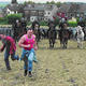 Image: Battle of Orgreave…