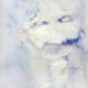 blue-in-the-face-iii
