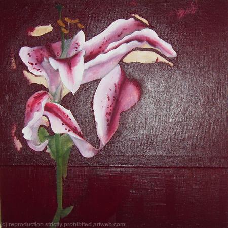 Broken Lilly