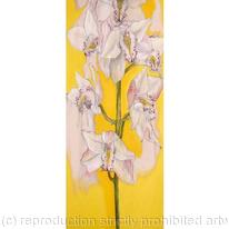 ORCHID