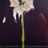 AMARYLLIS
