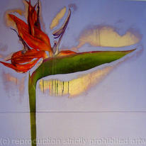 STRELITZIA