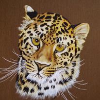 leopard