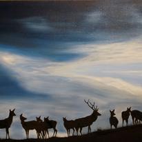 breaking dawn
