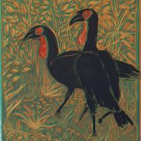Southern Ground Hornbills